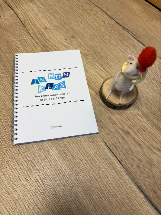 Leerkracht invulboek - basisschool - blauw